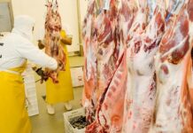 China abrió su mercado a la carne ovina argentina