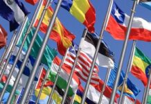 OCDE: economía global sufrirá grave desaceleración en 2020 por coronavirus