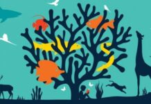 3 de marzo: Día Mundial de la Vida Silvestre 2020