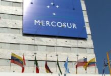 Reuniones del MERCOSUR se harán vía videoconferencias