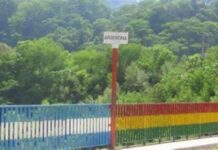 Bolivia cierra fronteras y decreta cuarentena nacional