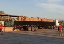 Chile: Incautan dos millones de dólares en contrabando de cigarrillos