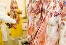 Argentina inicia exportaciones de carne ovina a China