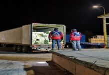Chile: Interceptan cigarrillos y parches medicinales ocultos en camión con verdura