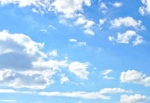 Argentina incorporates HFC gases into the Import and Export Licensing System
