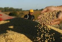 Bajada histórica de nivel de río argentino Paraná da otro golpe a agroexportadores en tiempos de coronavirus