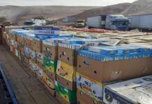 Chile: 69.740 cigarette packs seized hidden in a truck