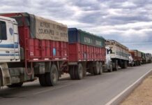 Gobierno actualizó el protocolo para el transporte de pasajeros y de carga