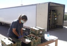 Argentina y Chile eliminaron el uso del papel para el intercambio de vegetales