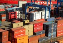 Chile confirma inicio de exportación de cítricos a China