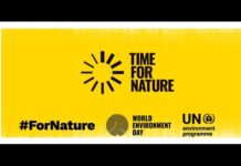 El Día Mundial del Medio Ambiente 2020 insta a preservar la biodiversidad