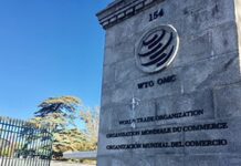 Europa y África buscan un candidato único para el puesto más alto de la OMC