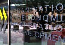 OCDE prevé una caída del PIB mundial de 6% por Covid-19; para Argentina estima un retroceso de 10%