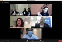 Panama holds the first international virtual forum on the OAS