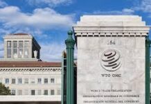 La ministra de comercio de Corea del Sur anuncia su oferta para liderar la OMC