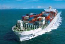 Chile lanza certificado fitosanitario sin papel para exportaciones agrícolas a EE.UU.