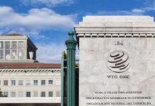 Siete candidatos aspiran a dirigir la Organización Mundial de Comercio