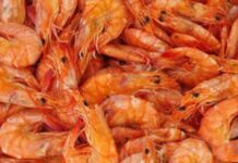 China detecta coronavirus en paquetes de camarones ecuatorianos