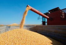 Gobierno aclaró el plazo del pago de retenciones para algunos productos agrícolas