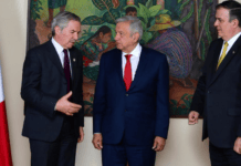 Argentina obtuvo mejores condiciones para sus exportaciones de porotos a México