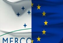 Mercosur-UE: «Será necesario incentivar un cambio de paradigma en las empresas de la región», dice el BID