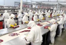 La UE ratifica que Argentina tiene un sistema confiable de exportación de carnes