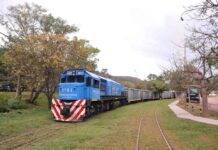 Trenes Argentinos Cargas transportó un 15% más durante el 2020