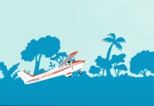 Paraguay participará del Proyecto Colibrí de la Organización Mundial de Aduanas para mejorar los controles sobre la aviación general