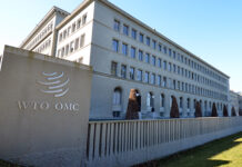 Una publicación de OMC y OCDE concluye que la ayuda para el comercio es decisiva para el empoderamiento económico