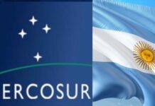Mercosur Customs: Argentina warns of disruption of two international crossings in Mendoza