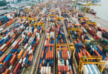 OMC publica edición de Perfiles comerciales 2023