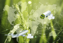 Informe 2024 de la OMC: el comercio global reduce desigualdades, pero requiere más integración