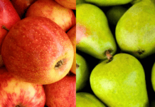 La Aduana denuncia subfacturación en exportaciones de peras y manzanas
