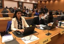 Chile participa en Comité Técnico Permanente de la Organización Mundial de Aduanas