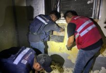 Chile: Aduanas y Carabineros incautan 208 kilos de marihuana