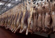 El Gobierno argentino autorizó cupo de carne a Colombia