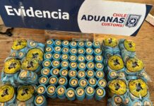 Chile: aumentó un 67% el decomiso de drogas en la región de Tarapacá durante 2022