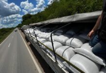 La Aduana detectó contrabando de cereales en el norte del país