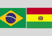 Brasil y Bolivia tratan ampliación de áreas de control integrado en una reunión bilateral