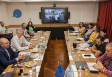 La Unión Europea concluyó la auditoría sanitaria de cítricos argentinos
