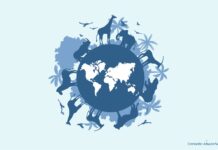 Día mundial de la vida silvestre: por qué se celebra y cuál es la colaboración de las aduanas