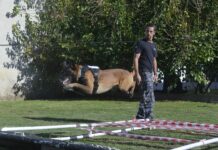 La Aduana Argentina celebró el Día del Animal en el Centro Regional de Adiestramiento Canino