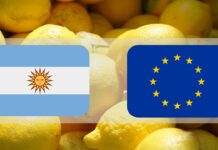 La Unión Europea vuelve a recibir cítricos orgánicos de Argentina