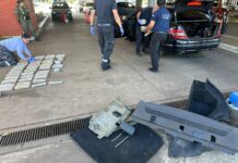 Un can de la Aduana descubrió importante cargamento de droga en la Triple Frontera