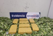 Aduanas de Chile detecta 31 ladrillos de clorhidrato en bolsas con hoja de coca