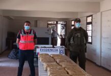Chile: Aduanas junto a Ejército y Carabineros incauta 22.7 kilos de marihuana en San Pedro Evidencia del trabajo coordinado y conjunto en Chile. Foto: Aduanas de Chile