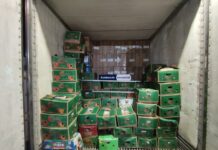 Aduanas de Chile incauta camión con 550 mil paquetes de cigarrillos en Quillagua