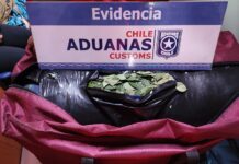 Incautan en Chile pastillas para adelgazar y hojas de coca