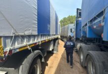 El Gobierno redujo el plazo de liquidación de divisas para exportaciones de maíz partido