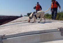 Customs strengthens controls on the Paraguay-Paraná waterway